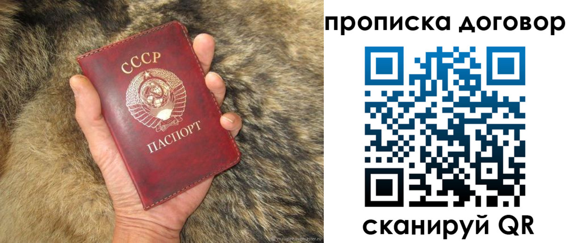 прописка регистрация в Липецке
